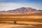 Salt Lake City, Utah, USA Landscape at the Great Salt Lake