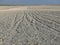 Salt lake Etosha national park