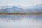 Salt Lake with flamingos Larnaca