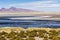 A salt lake, flamingos, mountains and colours in Los Flamencos National Reserve