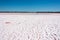 Salt lake in Little Desert National Park in Victoria, Australia