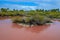 Salt lake at Puerto Villamil, Galapagos Islands, Ecuador