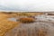 Salt marsh along the Icelandic coastline