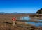 Salt Marsh at China camp state park