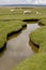 Salt Marsh Fields.