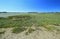 Salt marsh in the Gulf of Morbihan, France