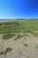 Salt marsh in the Gulf of Morbihan, France