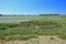 Salt marsh in the Gulf of Morbihan, France