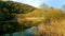 Salt Marsh on the river tavy near Lopwell Dam,devon