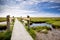 Salt Marsh at the Wadden Sea