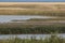 Salt marshes at Cley