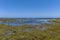 Salt meadows Canary Islands.