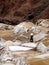 Salt mine laborer, Salinas (Peru)