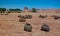 Salt mining in the Saline Demi dry lake, Fada, Ennedi, Chad