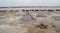 Salt mounds at Lac Rose, Senegal.