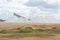 Salt mountains in Manaure in the Colombian Guajira. Copy space