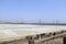 Salt Pan Mumbai