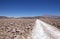 Salt pan at the Salar of Antofalla at the Puna de Atacama, Argentina