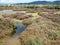 Salt pans