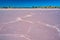 Salt pattern on pink lake surface.
