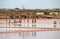 Salt ponds in Gruissan, France.