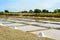 Salt port, Oleron, France