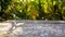 Salt is pouring down on wooden surface over nature background of summer, sunlight