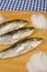 Salt preserved sardines