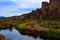 Salt River Recreation Area Arizona