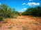 Salt River Recreation Area Arizona