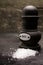 Salt shaker or grinder with coarse salt