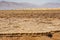 Salt slabs of the miners working in the salt plains in the Danakil Depression in Ethiopia.