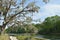 Salt Springs Florida