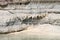 Salt stalactites, dead sea, jordan