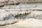 Salt stalactites, dead sea, jordan
