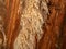 Salt stalactites at the salt mountain cavern, Cardona, Spain.