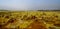 Salt structure close-up inside Dallol volcanic crater in Danakil depression, Afar, Ethiopia