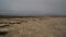 Salt texture inside Dallol volcanic crater, Danakil depression, Afar, Ethiopia