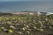 Salt water lakes and lighthouse in Fuencaliente