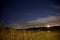 Salt Water Marsh Under Stars and Moon