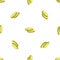 Salted cucumber pattern seamless vector