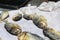 salted fish being dried in the sun