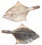 Salted flatfish