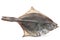 Salted flatfish