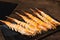 Salted grilled shrimp skewers, served on dish in Japanese Izakaya style bar restaurant. Japan seafood appetizer menu