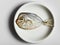 Salted moonfish on white plate