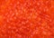 Salted red caviar macro photo texture