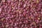 Salted Red and Purple Peanut Seed background texture