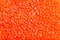 Salted russian red caviar of pink salmon close-up