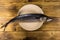 Salted scomber fish on a plate. Whole mackerel on wooden table